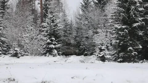 U.S. Army M2A4 Bradley IFV emerging from between trees in a snow-covered forest Stock Footage 301195394