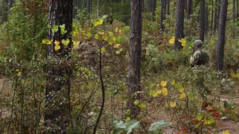 U.S. Army soldier running with weapon raised during live-fire training Stock Footage 256972041