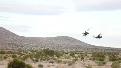U.S. Army UH-60 Blackhawk helicopters flying in desert Stock Footage 268823909