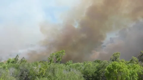 US: Brush fire spreads across 80 acres in Sorrento Valley, California Stock Footage 336595331