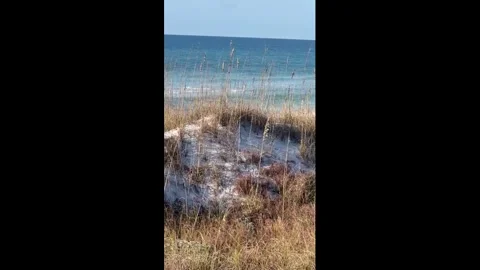 US: Calm ocean waves along an unspoiled shoreline in Grayton Beach, Flori... Stock Footage 324710195