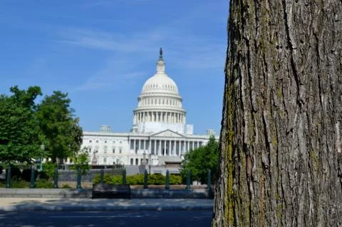 US Capital Building Stock Photos