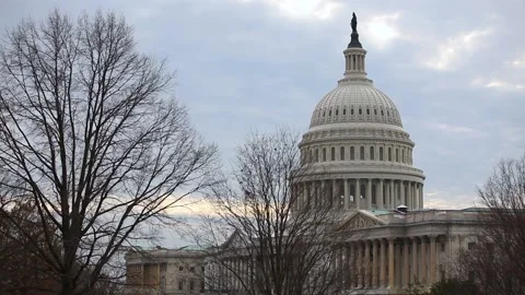 US CAPITAL DOME WITH TREES IN FOREGROUND WITHOUT LEAVES MS Stock Footage 231363959
