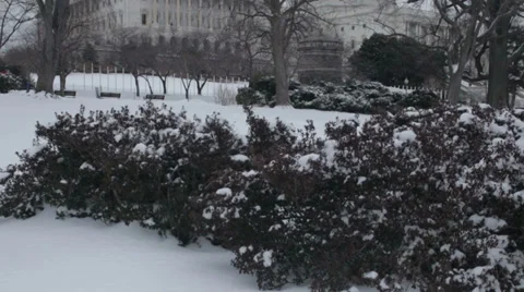 The US Capital Dome in Washington DC Video stock 35789604