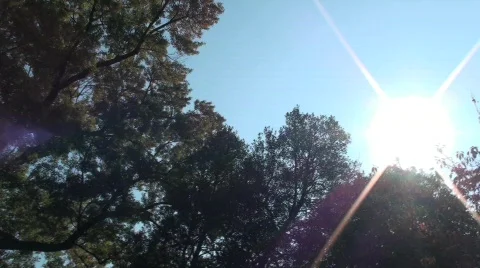 U.S. Capitol 2 Video stock 549854