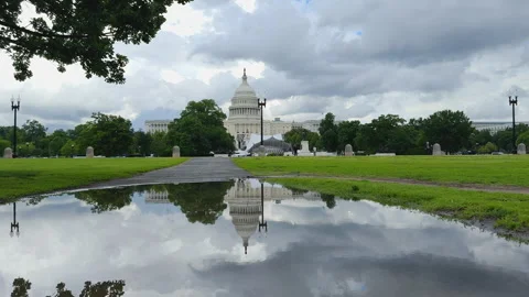 U.S. Capitol and Reflection After Rain Stock Footage 320774633