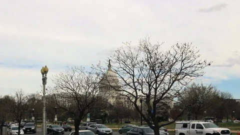 U.S. Capitol Building Behind Trees in Spring Stock Footage 126250604