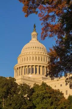US Capitol building in fall at sunset Stock Photos