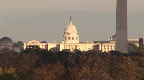US Capitol Building Video stock 50984045