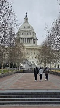 The US Capitol Building Stock Photos