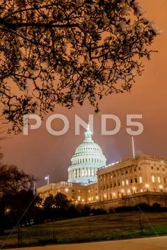 Us capitol building in spring- washington dc, united states Stock Photos