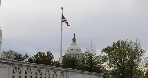 The US Capitol building in Washington, DC Stock Footage 128834852