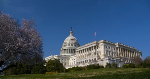 The US Capitol Building Wide Spring West Front Blue Sky with Flags Vidéo 88567511