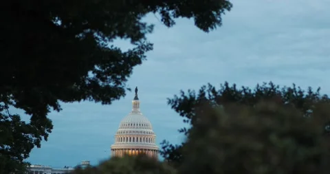 The U.S. Capitol during blue hour in Washington, D.C. Video stock 130615641