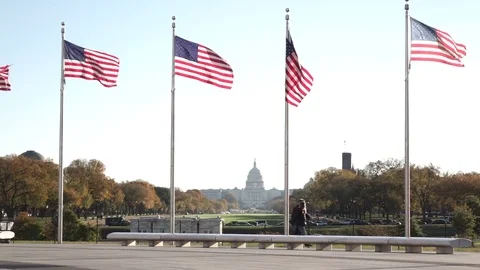 US Capitol in Flags Stock Footage 75659291