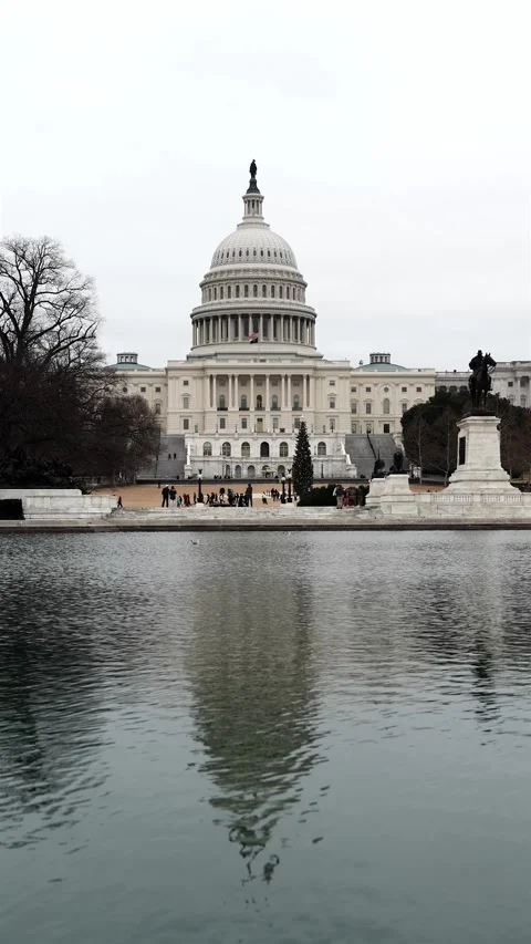 US Capitol with pigeons over the reflecting pool Stock Footage 333356089