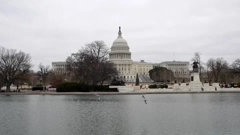 US Capitol with seagulls over the reflecting pool 스톡 동영상 333355803