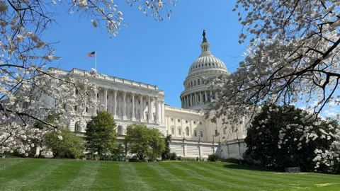 US Capitol in the Spring with Cherry Blossoms Stock Footage 269212302