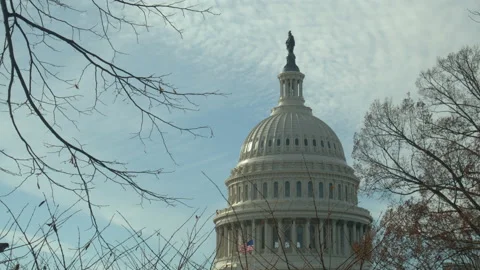 US Capitol though trees dome close shot Stock Footage 139173226