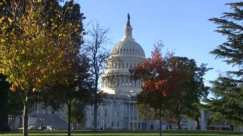 US Capitol in Washington, DC Stock Footage 69078636
