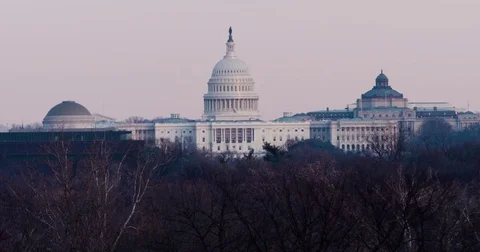 US Capitol, Washington DC Winter Evening cooler look with birds flying Stock Footage 71113049