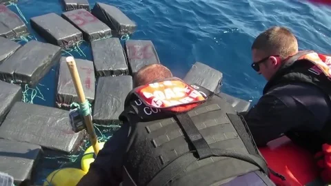 U.S. Coastguard rescues tangled turtle amongst seized cocaine Stock Footage 83582137