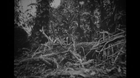 Us Combat Training 14 Stock Footage 36304580