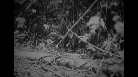 Us Combat Training 23 Stock Footage 36299804
