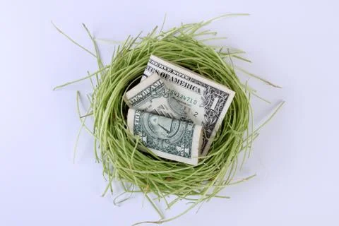 US Currency Dollars Notes in a Bird's Nest Stock Photos