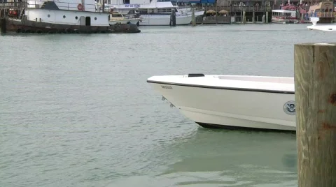 US Customs Boat Stock Footage 687248