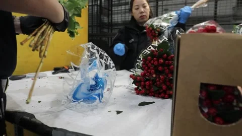 U.S. Customs Officers checking bunches of flowers for pests Stock Footage 263721819