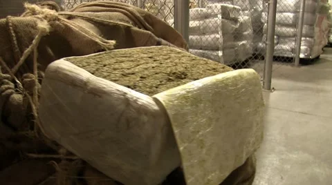 US DEA holding facility showing drugs Stock Footage 8648382