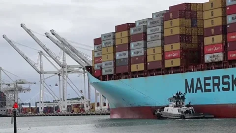 US delays tariffs on Canada, Mexico after securing border commitments, US, US -  動画素材 300925336