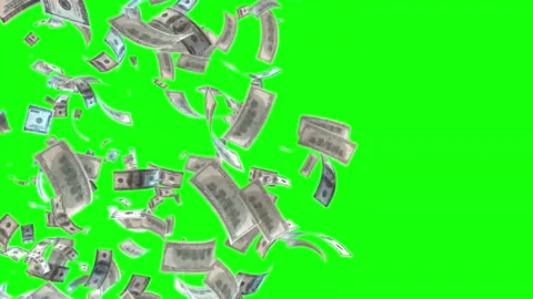 US Dollar Bills Falling Money Rain Animation on Green Screen Stock Footage 341262660
