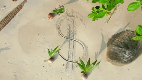 US dollar sign drawn on the sand in a tropical climate. Stock Footage 239693533
