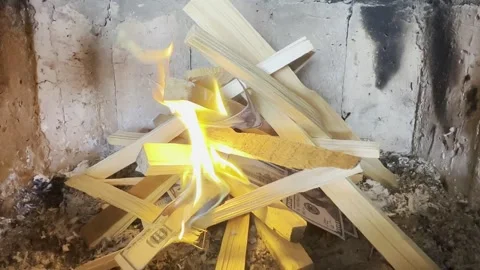 US Dollars Stock Footage 294185903