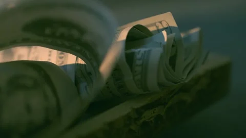 US Dollars Stash 動画素材 284880118