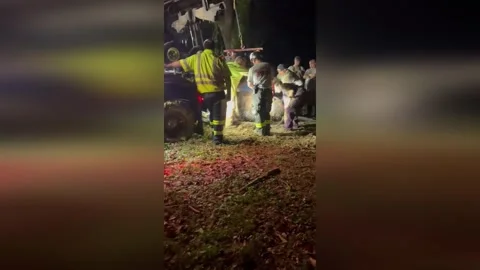 US: Donkey Miss Kitty Pulled From Deep Mud In Late-Night Rescue Operation... Stock Footage 333718645