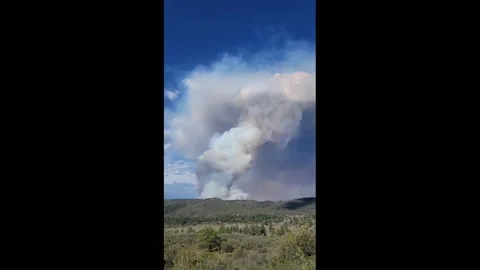 US: Evacuation Order In Effect, Plumtaw Fire Breaks Out Near Pagosa Springs In Stock Footage 198882575