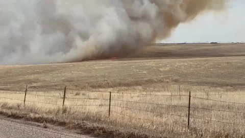 US: Evacuation Orders Lifted After Dahlberg Fire Scorches 1,000 Acres Nea... Stock Footage 329601943