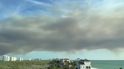 US: Evacuations Ordered as Picayune Strand Brush Fire Spreads in Collier ... Stock Footage 332685639