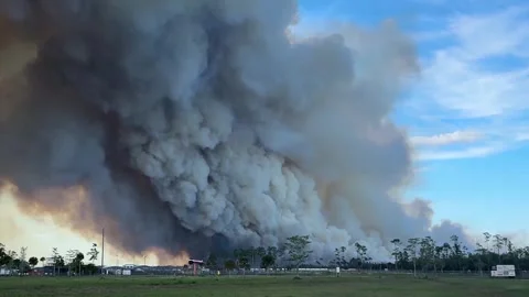 US: Evacuations Ordered as Picayune Strand Brush Fire Spreads in Collier ... Stock Footage 332687214