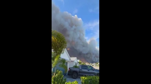 US: Evacuations Ordered as Picayune Strand Brush Fire Spreads in Collier ... Stock Footage 332694550