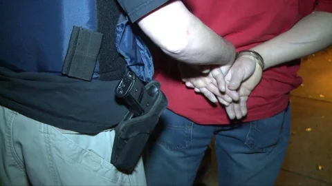 U.S. Federal agents arrest illegal aliens. Vídeos de archivo 74807810