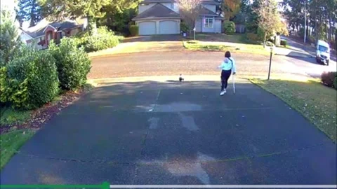 US: FedEx drivers rescue toddler who ran down sloped driveway in Washingt... Stock Footage 324816075