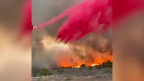 US: Firefighting aircraft tackles Bug Fire as crews protect homes in Cali... Stock Footage 342052224