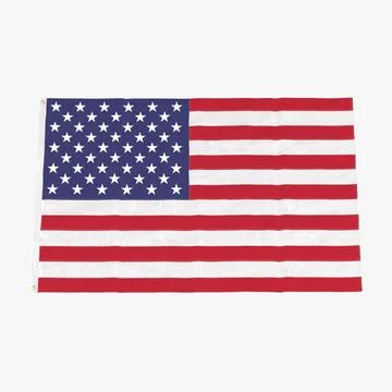 U.S. Flag 02 3D Model