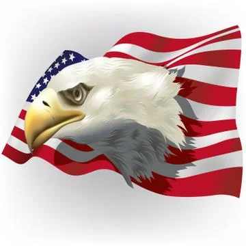 US Flag With Bald Eagle Head Stock Illustration