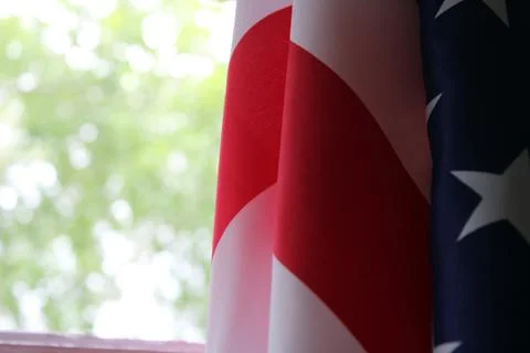 The U.S. flag hangs against a background of green foliage. Flag Day. Memorial Stock Photos