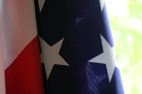 The U.S. flag hangs against a background of green foliage. Flag Day Foto stock